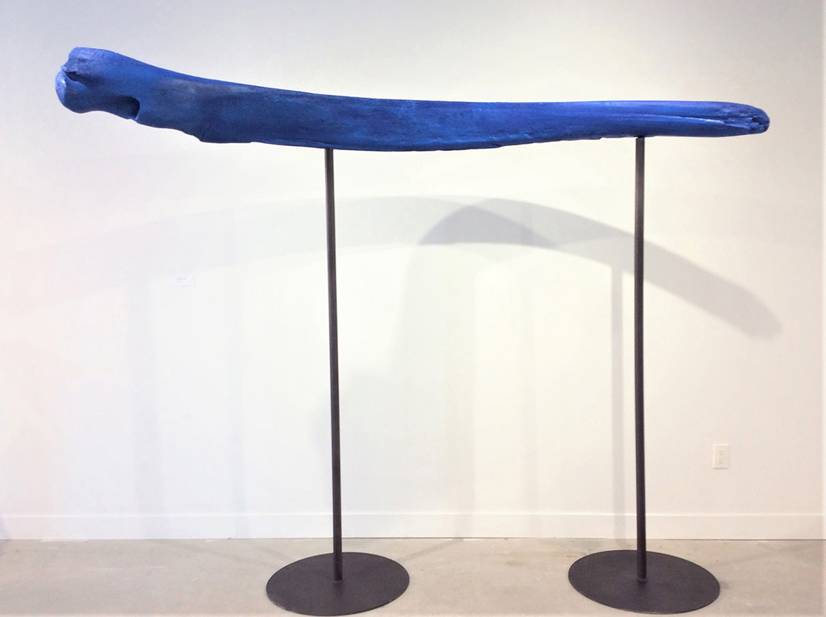 Sculpture faite d’une mâchoire de baleine bleue peinte posée sur deux socles. 