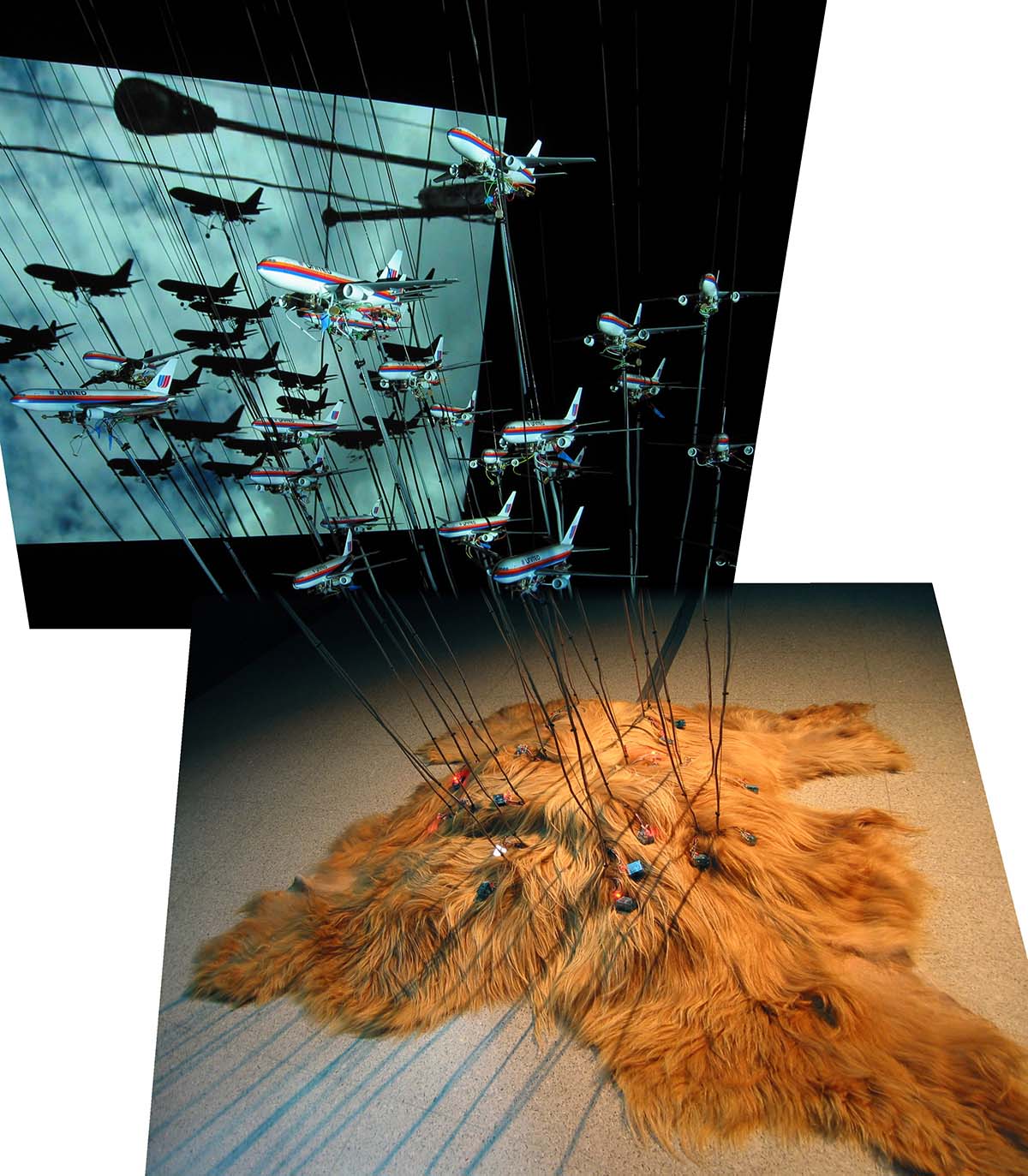 Installation vidéo et électronique montrant des avions reposant sur des longues tiges plantées sur un tapis de fourrure.  