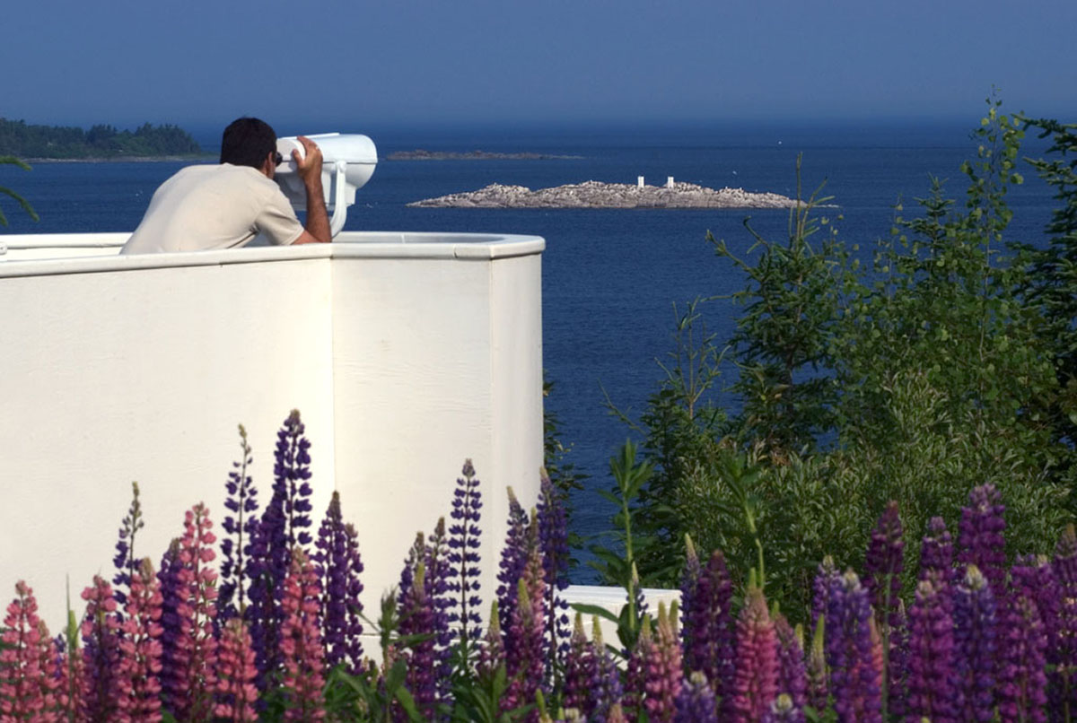 À l’aide d’une lunette d’approche, un homme regarde une île où se trouvent deux piliers de sel  