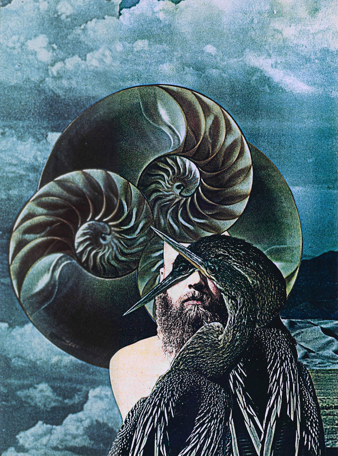 Portrait d’un homme barbu, partiellement caché par deux hérons foncés. L’arrière-plan présente un collage de coquilles de nautile et de cumulonimbus.  