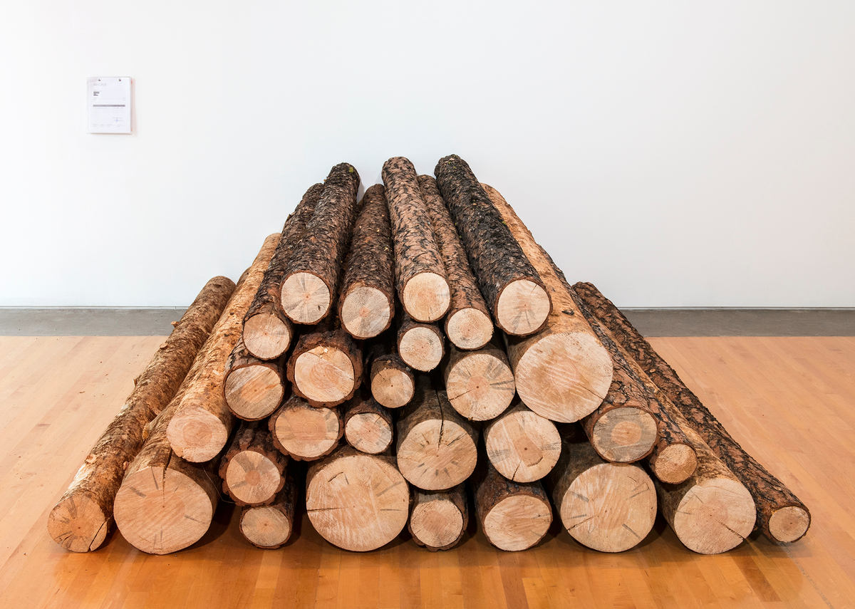 Pile de billes de bois droites, d’un diamètre d’environ 25 cm, déposée sur le plancher d’une galerie en une pyramide nette. 