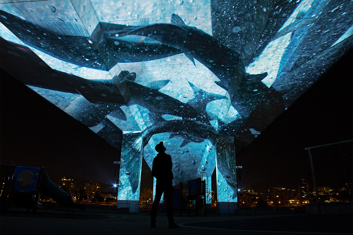 Projection nocturne d’images de poissons qui nagent sur la face inférieure d’un pont en béton. L’œuvre donne l’impression à l’auditoire d’être dans un aquarium. 