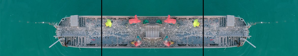 Collage de plans en plongée d’un bateau de pêche. L’image colorée est symétrique et découpée sur trois écrans alignés horizontalement. 