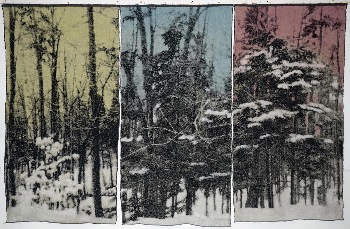 Trois panneaux montrant des arbres enneigés sur fond de ciel coloré. 